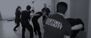 security guard training session